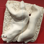 screen-shot-2016-09-13-at-3-50-22-pm